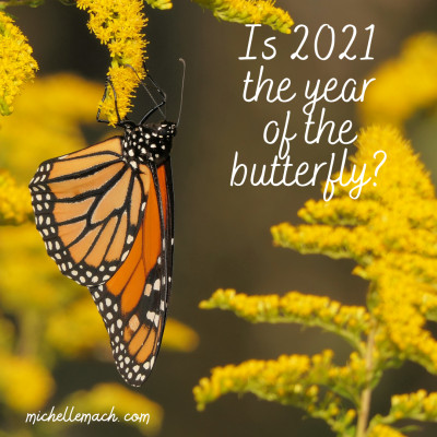 Is 2021 the year of the butterfly?