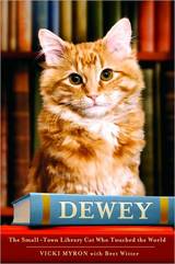 Dewey the cat
