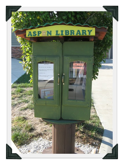 Mini library in Kansas