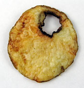 Potato Chip Pendant