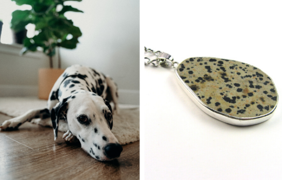 Dalmatian Dog and Jewelry Pendant